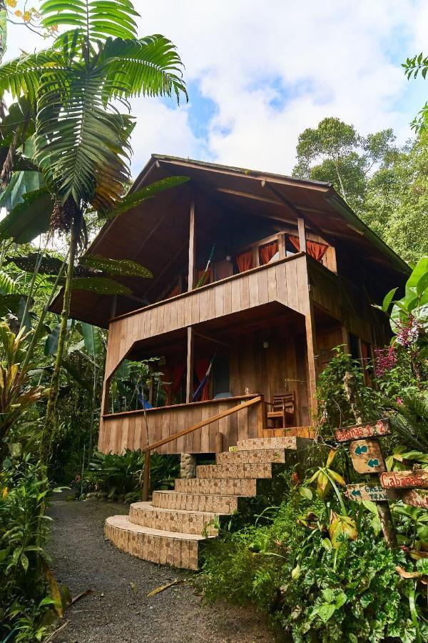 Casa Divina Eco Lodge Mindo Zewnętrze zdjęcie